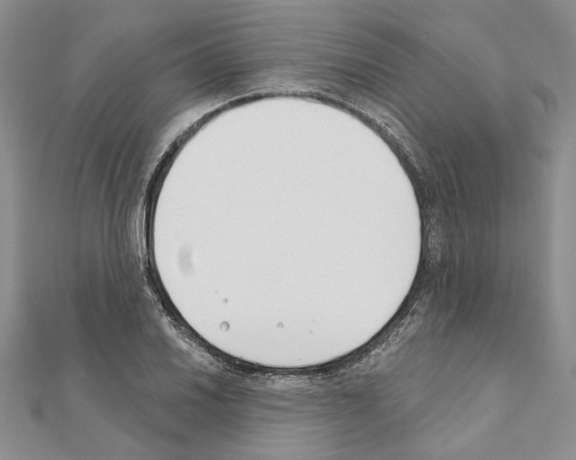 X0000110921030200907301558
