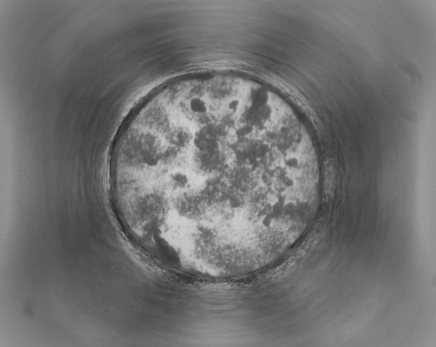 X0000110921031200907301558