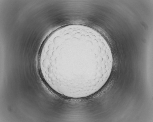 X0000110921032200907301558