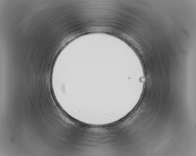 X0000110921033200907301558