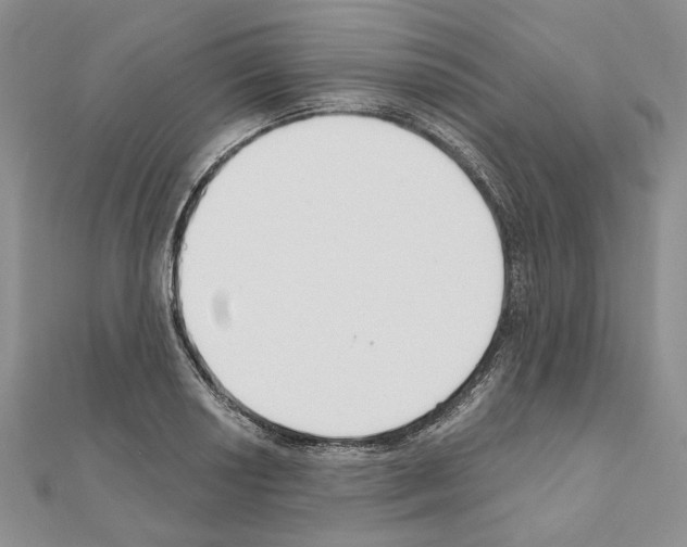 X0000110921034200907301558