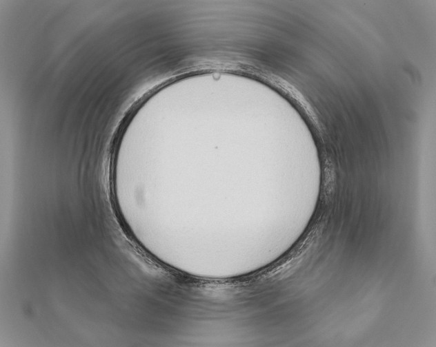 X0000110921035200907301558