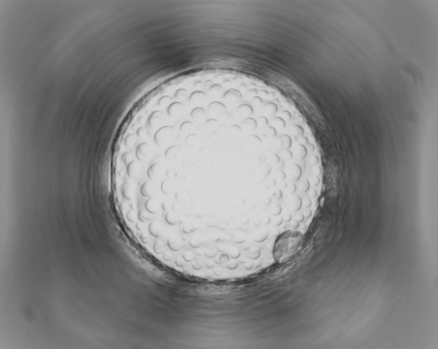 X0000110921036200907301558