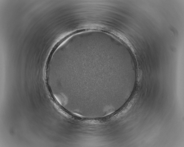 X0000110921037200907301558
