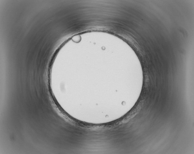 X0000110921038200907301558