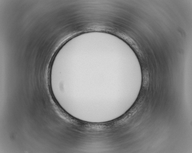 X0000110921039200907301558