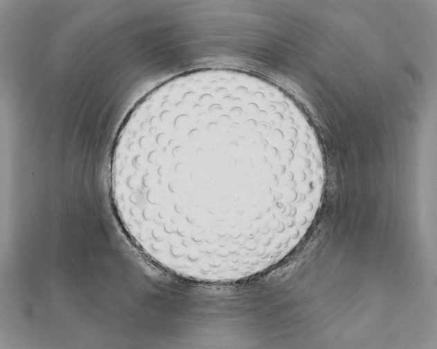 X0000110921040200907301558