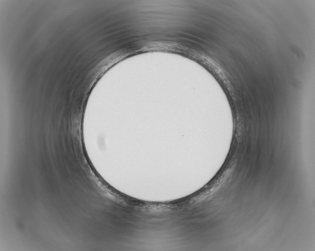 X0000110921041200907301558