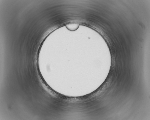 X0000110921042200907301558