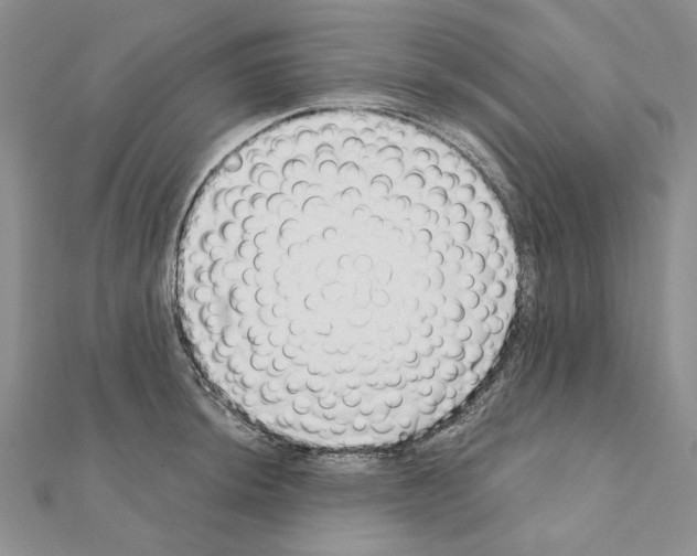 X0000110921044200907301558