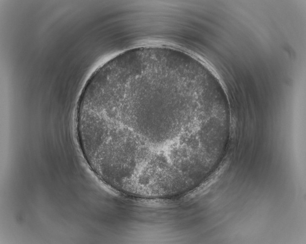 X0000110921045200907301558