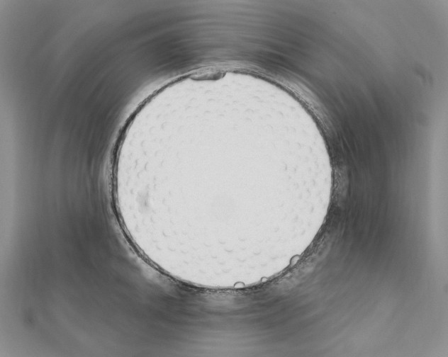 X0000110921046200907301558
