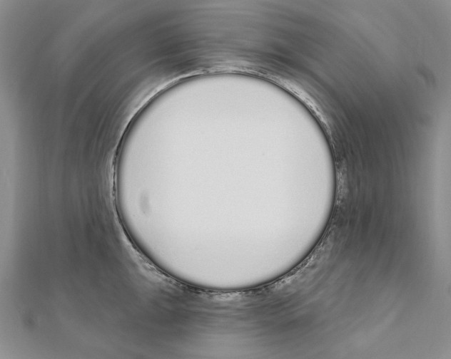 X0000110921047200907301558