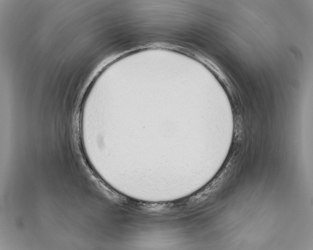 X0000110921048200907301558
