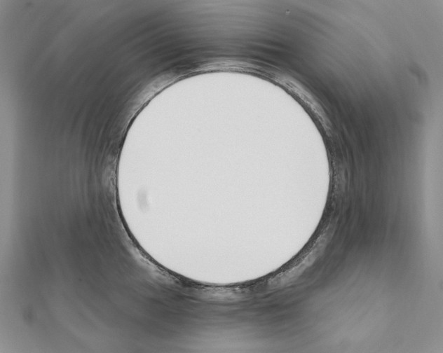 X0000110921049200907301558