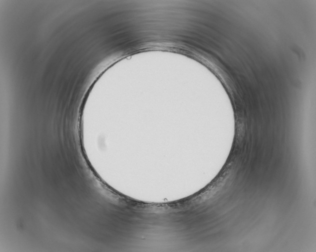 X0000110921050200907301558