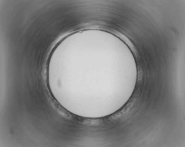 X0000110921051200907301558