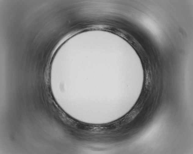 X0000110921052200907301558