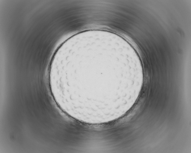 X0000110921053200907301558