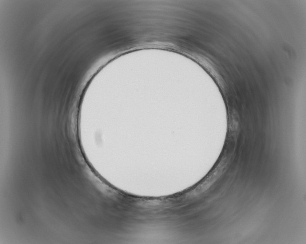 X0000110921054200907301558
