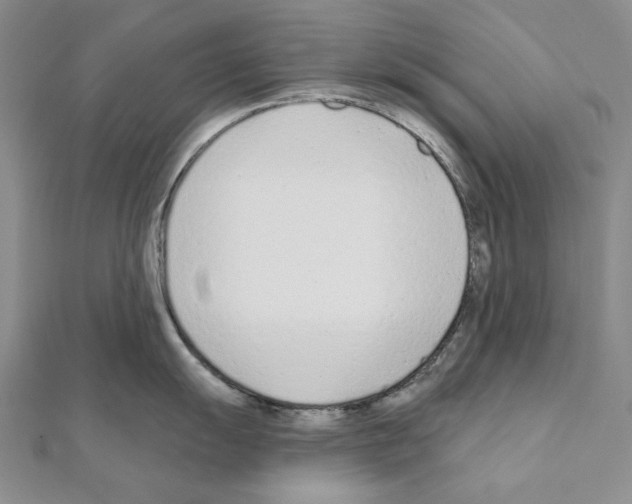 X0000110921055200907301558