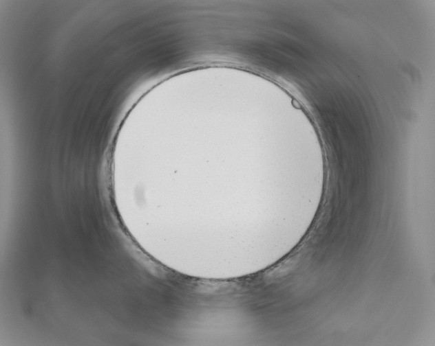X0000110921056200907301558