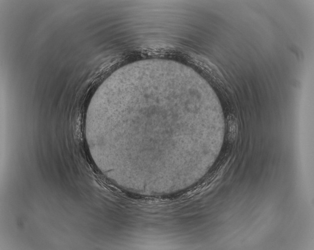 X0000110921060200907301558