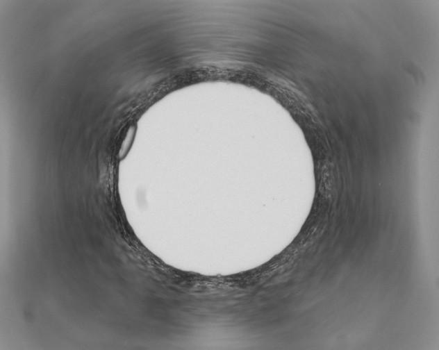 X0000110921061200907301558