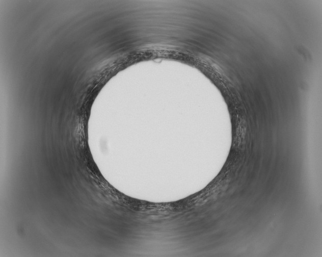 X0000110921062200907301558