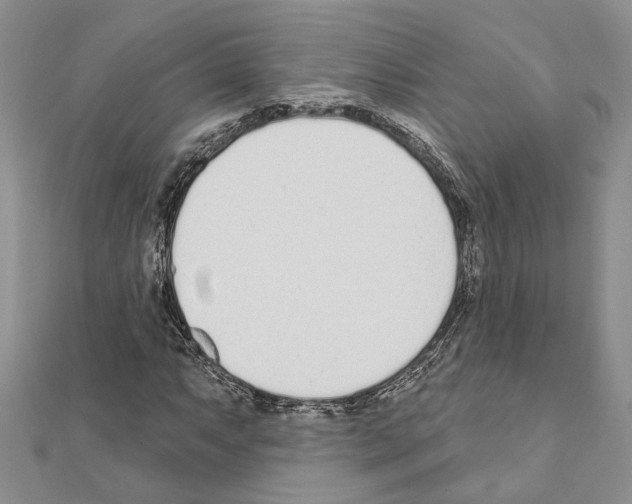 X0000110921063200907301558