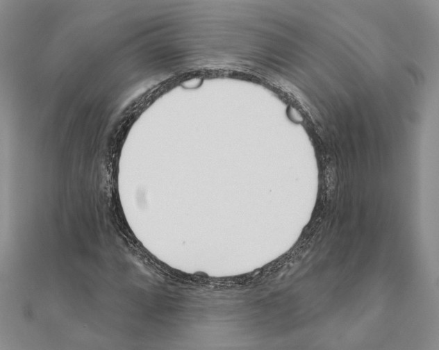 X0000110921064200907301558