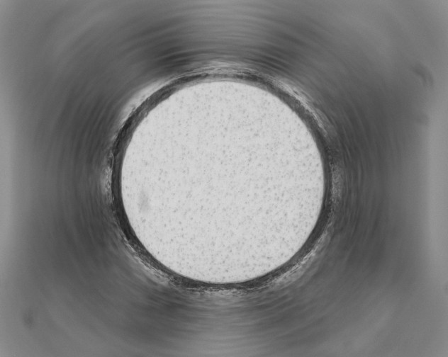 X0000110921066200907301558