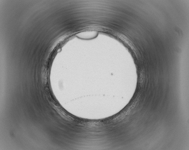 X0000110921067200907301558