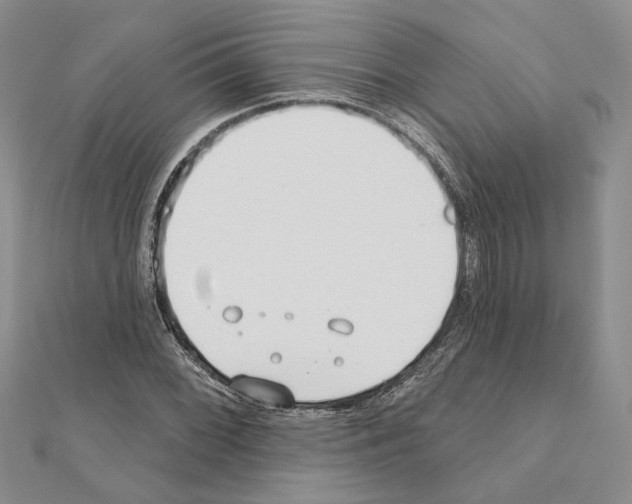 X0000110921068200907301558