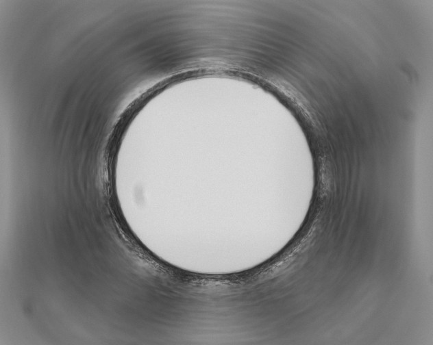 X0000110921070200907301557