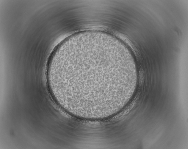 X0000110921071200907301557