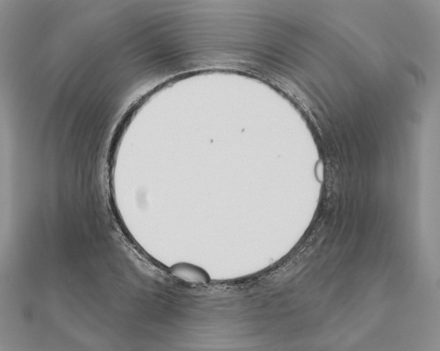 X0000110921072200907301557