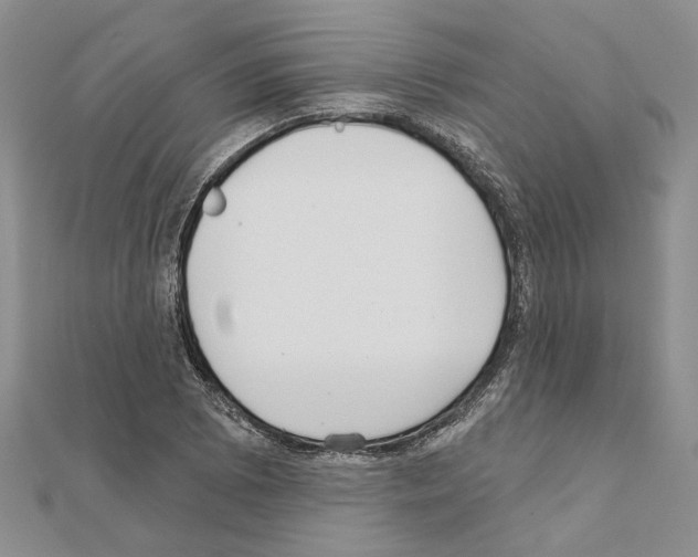X0000110921073200907301557