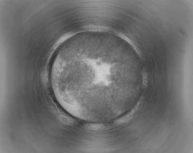 X0000110921074200907301557