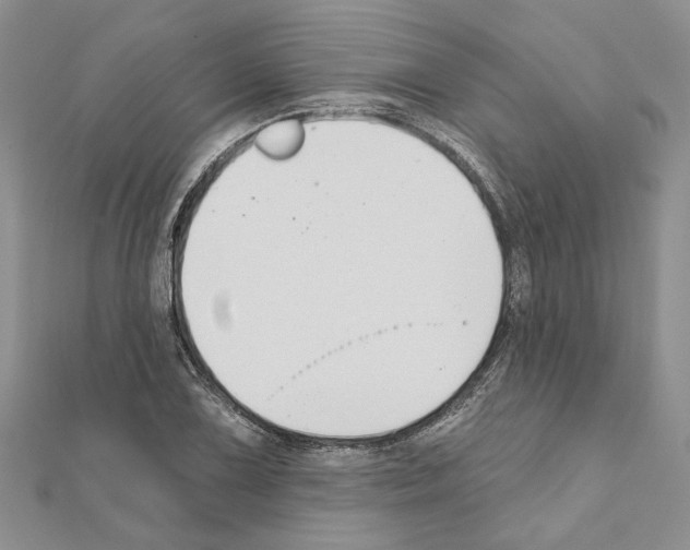 X0000110921075200907301557