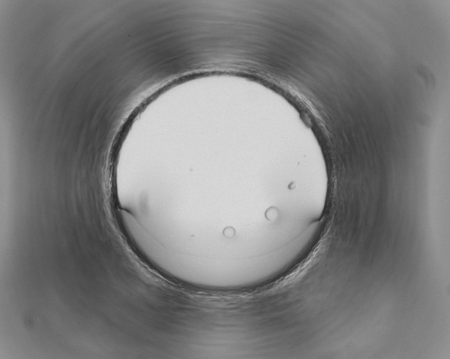 X0000110921077200907301557