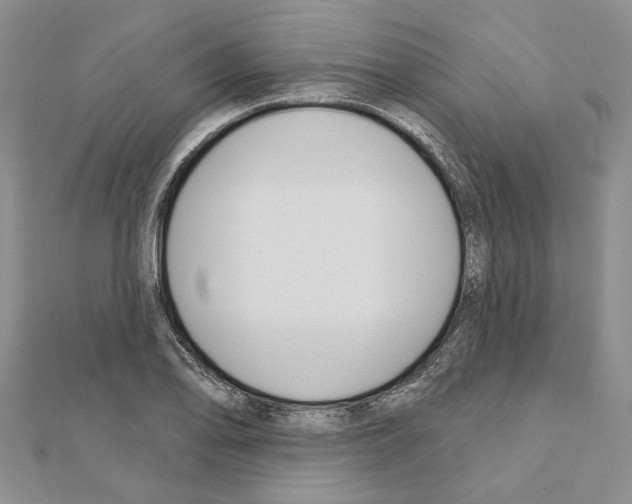 X0000110921078200907301557