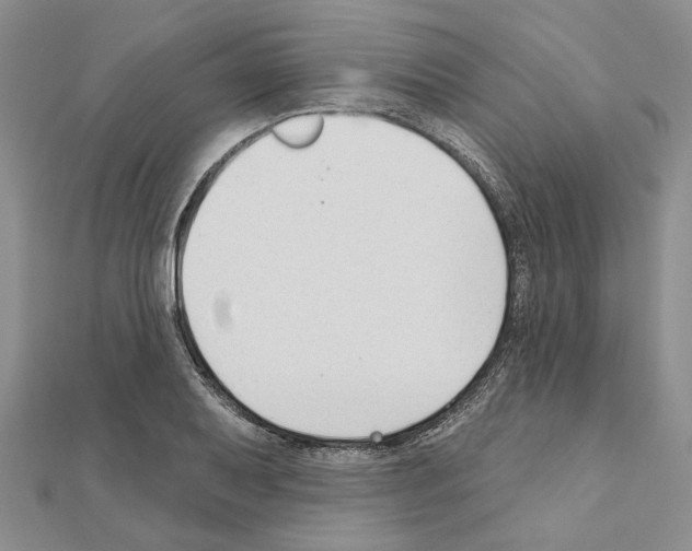 X0000110921079200907301557
