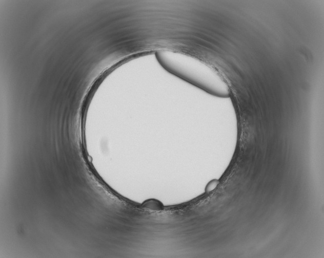 X0000110921080200907301557
