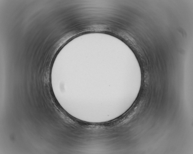 X0000110921081200907301557