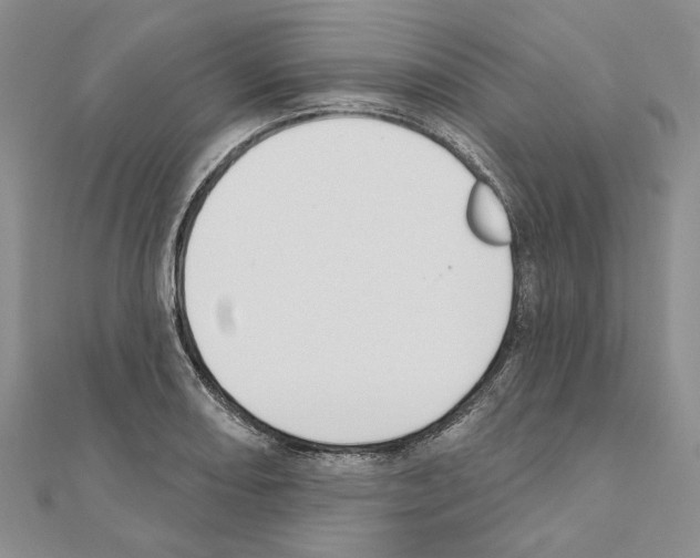 X0000110921082200907301557