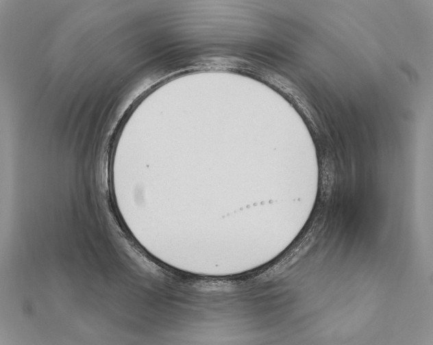 X0000110921083200907301557