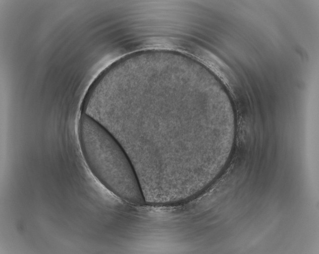 X0000110921084200907301557