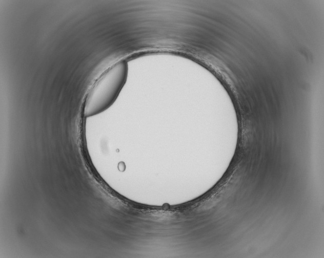 X0000110921085200907301557
