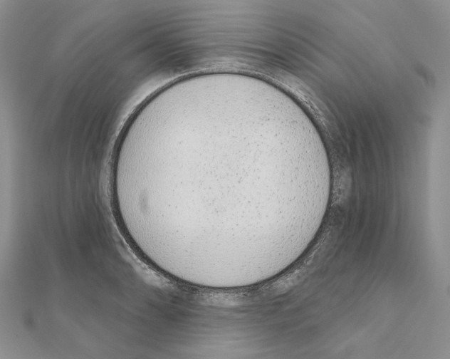 X0000110921086200907301557